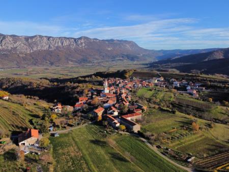 Postani vinar za en dan 13